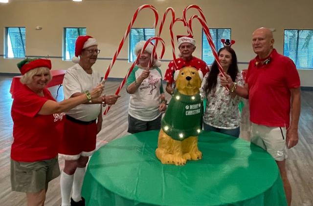 Reindeer Games: Holiday-Themed Cognition and Balance Drills for Seniors FREE Webinar Event (No CEs)