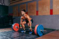 The Hip: An Owner's Manual